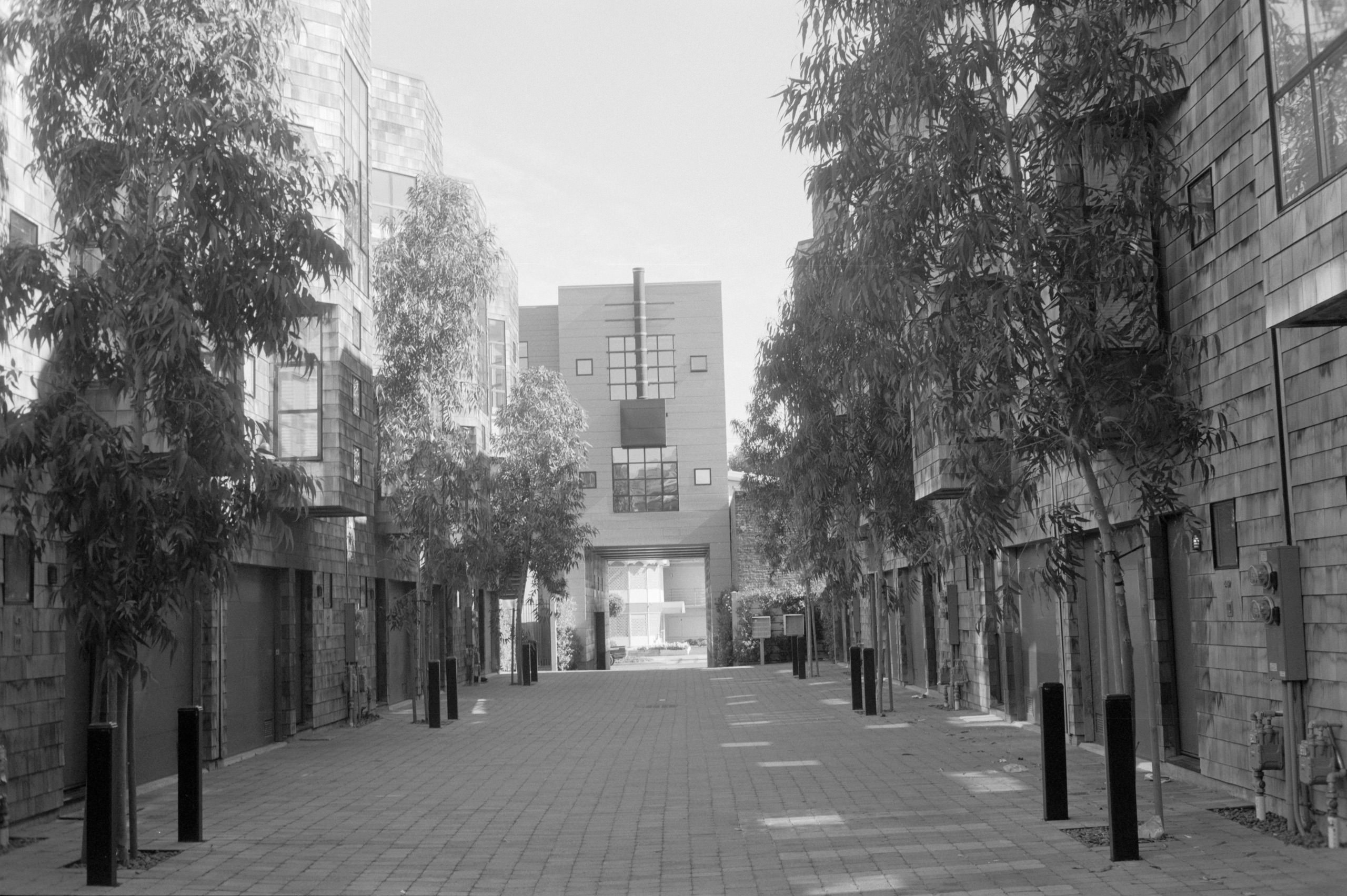 AHP FilmScan 240807 0409